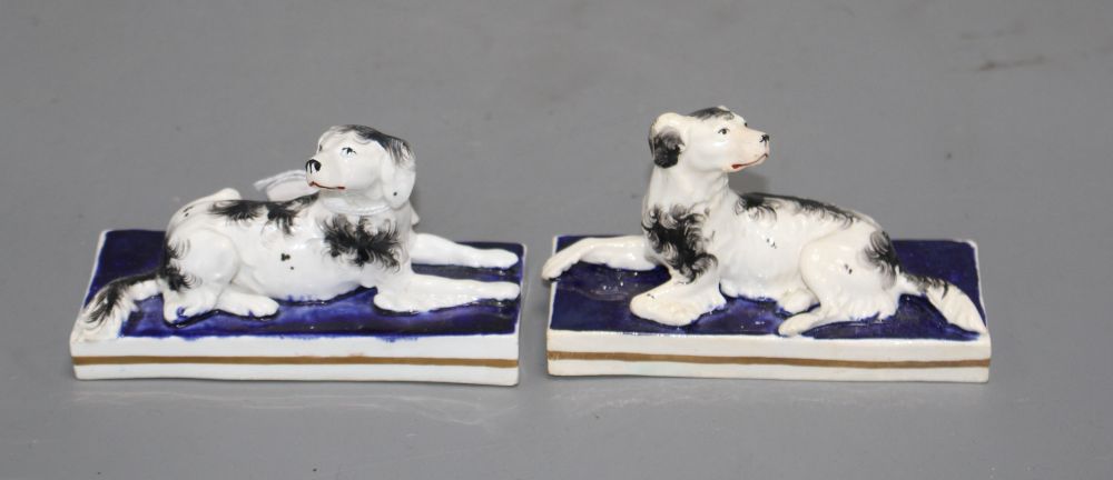 A pair of Staffordshire porcelain models of recumbent setters, c.1830-50, L. 11.5cm